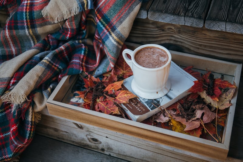 Cozy Fall Comforts